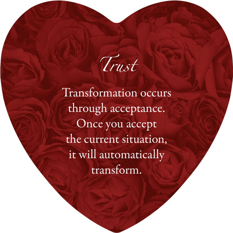 Heart-shaped arrangement of red roses with a motivational quote on a white background