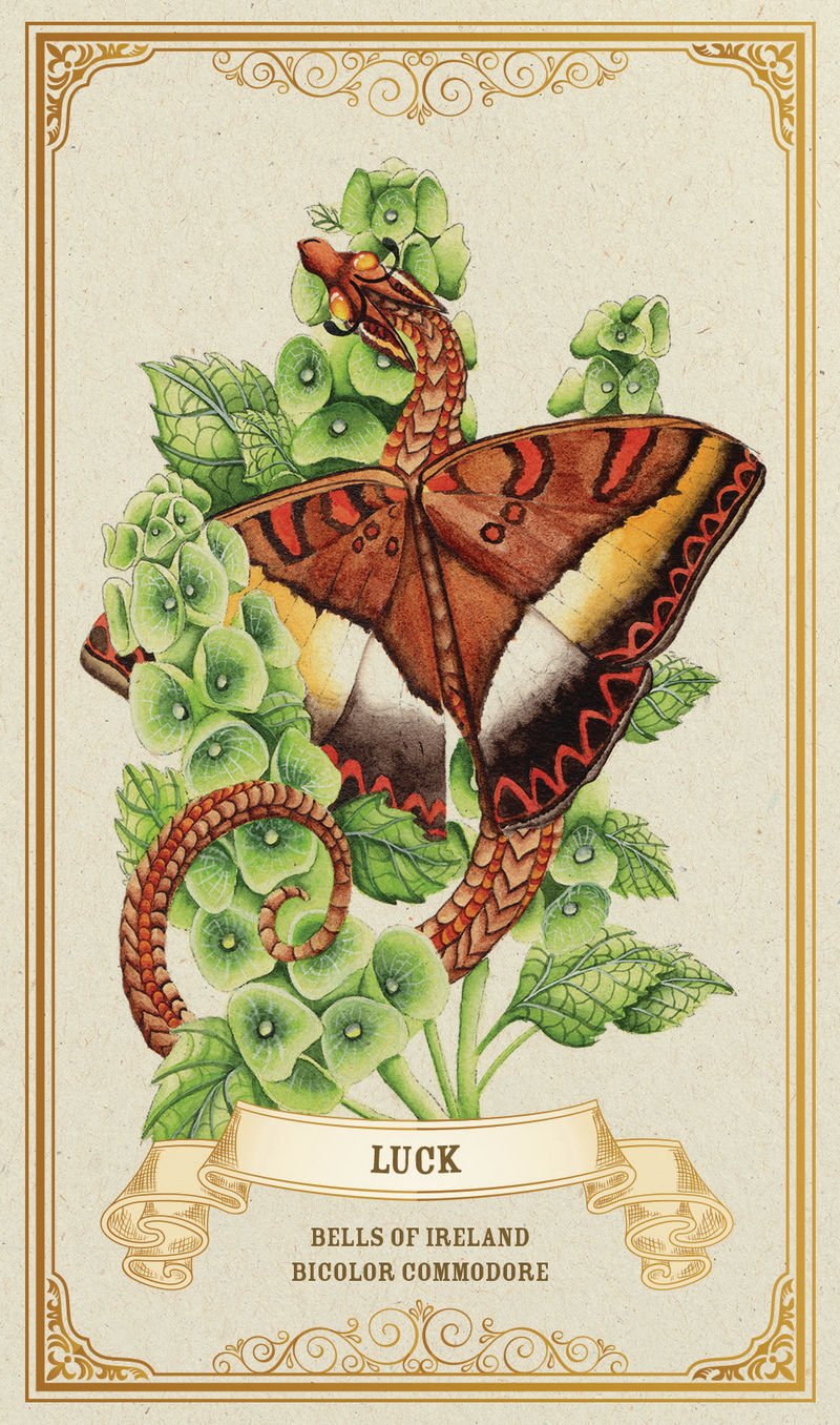 Decorative card with a butterfly and green leaves, featuring the word 'Luck' and branding text.