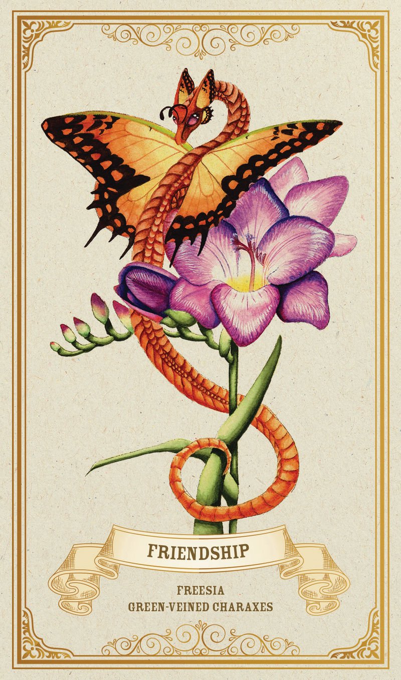 Illustration of a butterfly on a flower with 'Friendship' text and decorative elements.