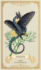 Butterfly on a branch with 'Strength' text and fennel plant, decorative border.