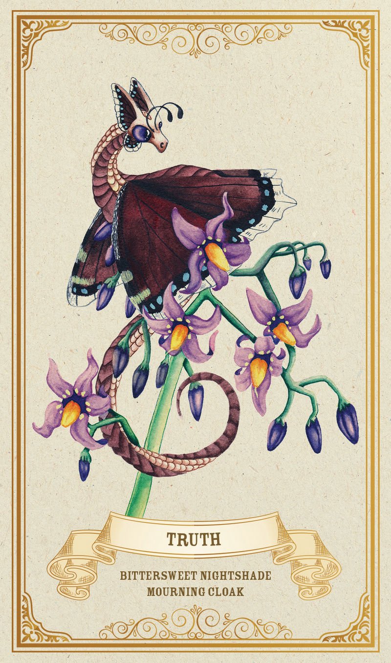 Illustration of a butterfly and nightshade plant with decorative border and text on a beige background