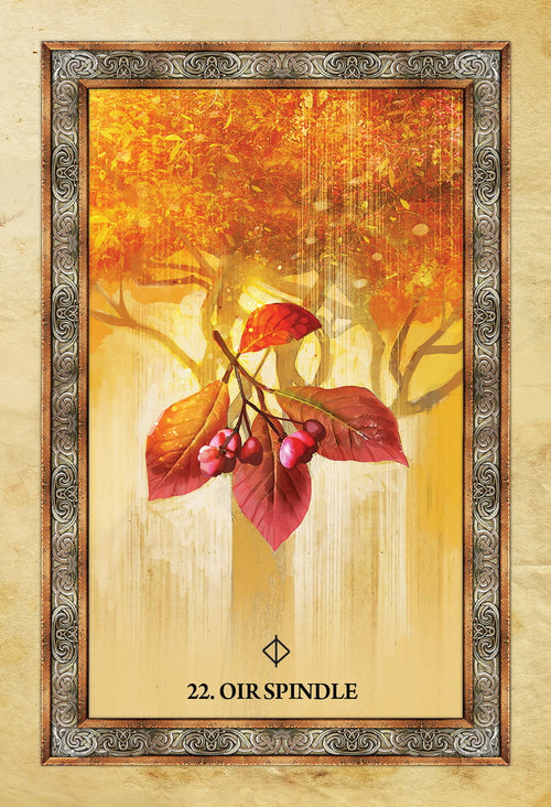 Framed artwork of a branch with red leaves and berries on a warm-toned background, labeled '22. Oir Spindle'.