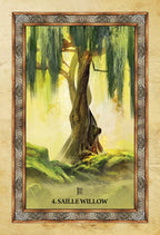 Framed artwork of a willow tree with decorative border on a textured beige background