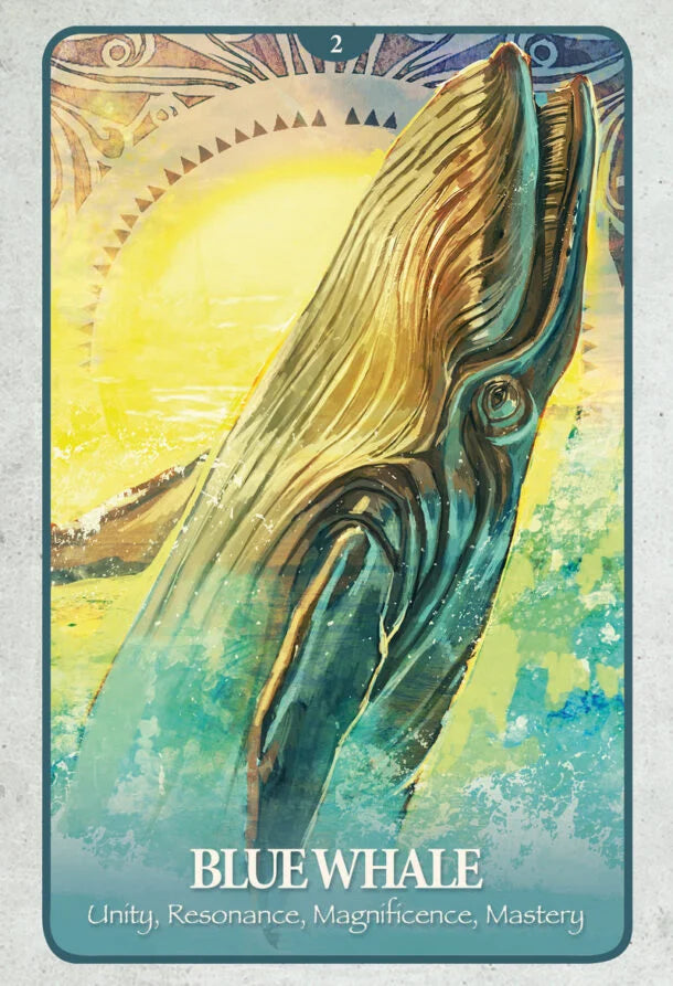 Illustration of a blue whale with a stylized sun in the background, on a textured gray background.