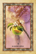 Framed artwork of a green apple with leaves on a pink background