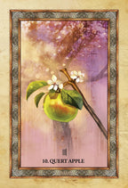 Tarot card with an apple and sword on a decorative background