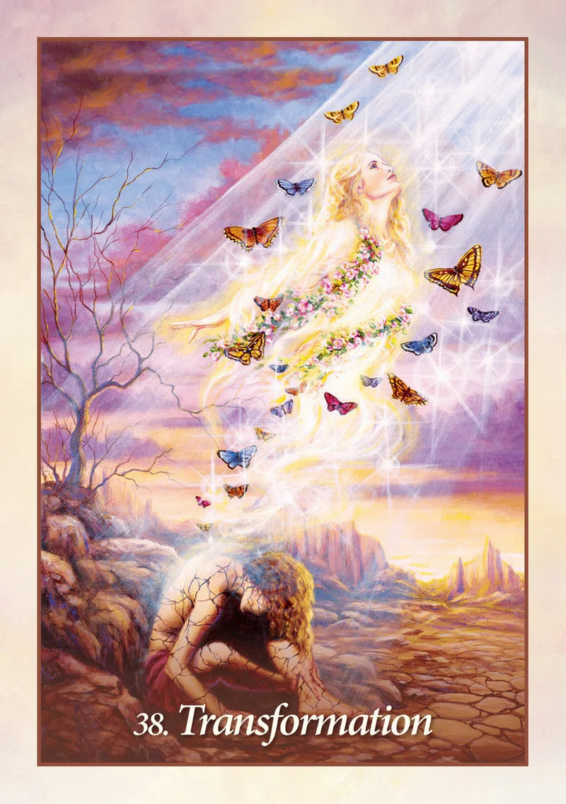 Artistic depiction of a woman with butterflies and flowers, titled 'Transformation'.