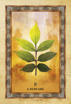 Framed artwork of a leaf with 'S. NUN ASH' text on a textured beige background