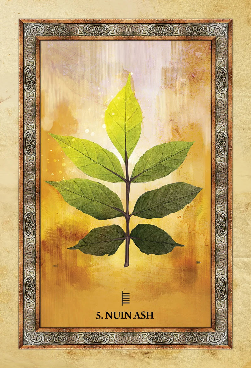 Framed artwork of a leaf with 'S. Nuin Ash' branding on a textured beige background