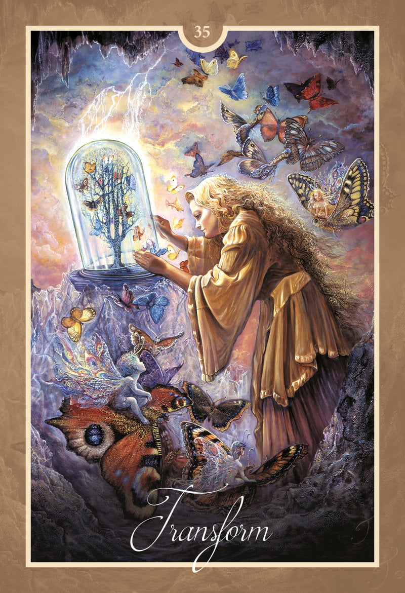 Artistic depiction of a person interacting with a crystal ball surrounded by butterflies and nature elements, with the word 'Transform' at the bottom.