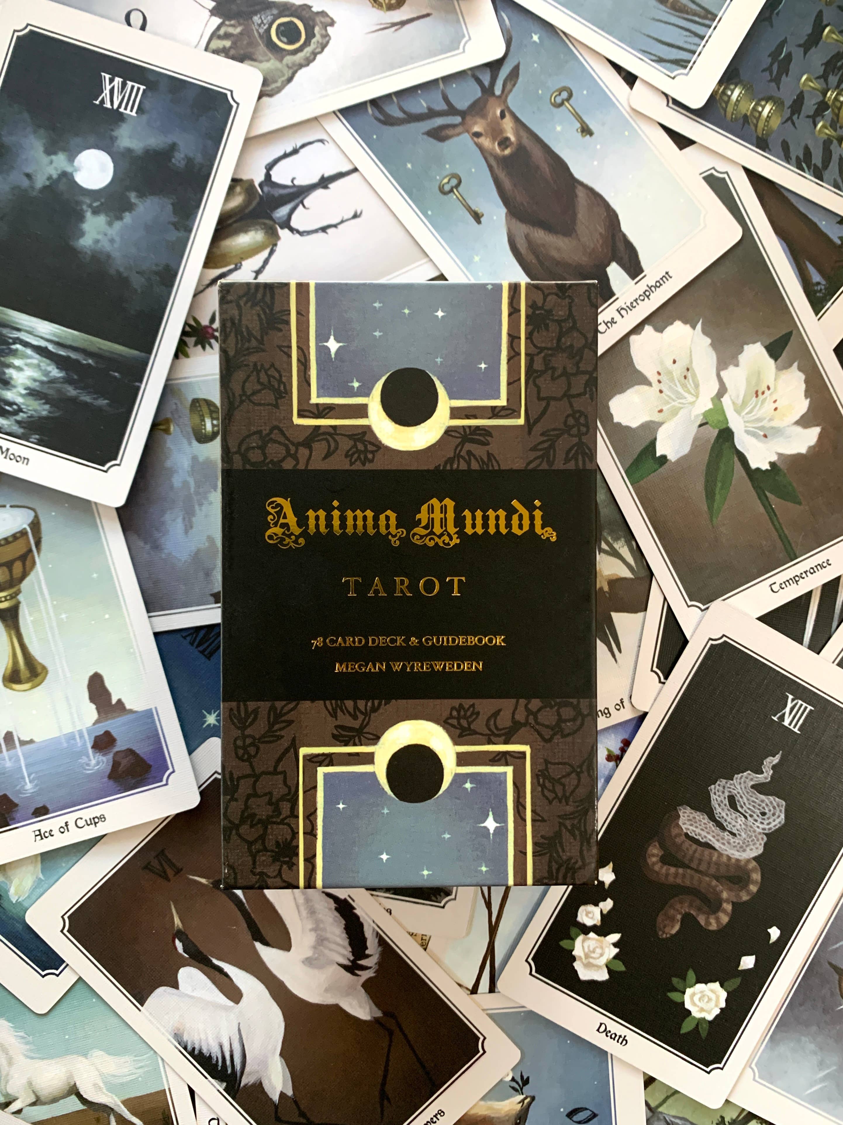 Anima Mundi Tarot card set with tarot cards displayed around it.