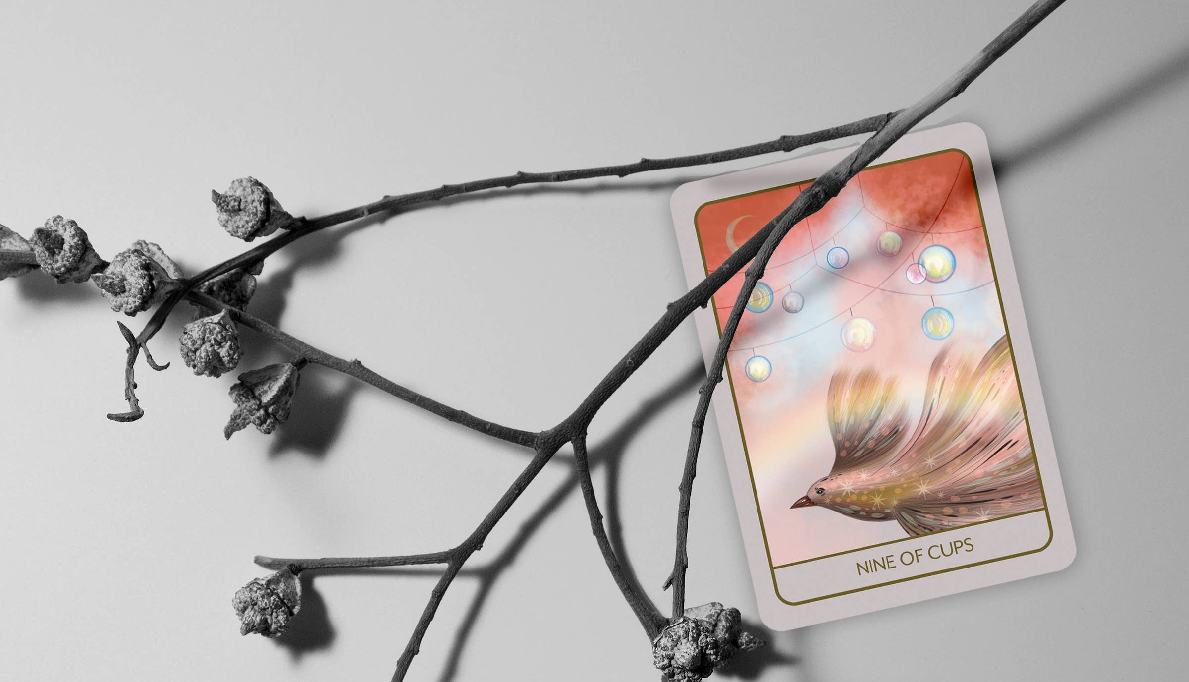 A tarot card titled 'Nine of Cups' lies on a light gray surface, partially overlaid by a black branch with dried buds. The card features a soft peach, pink, and cream illustration with a bird and iridescent bubble details.