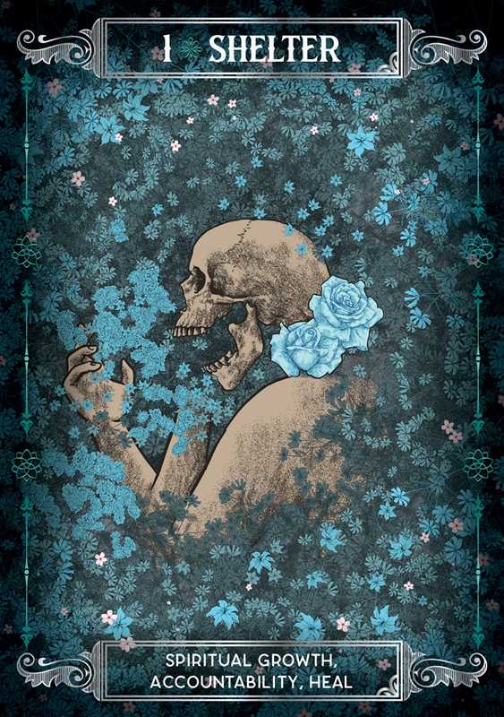 Artistic depiction of a skull with flowers on a dark floral background, featuring text about spiritual growth and accountability.