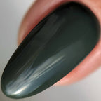 Close-up of a dark green object with a reflective surface against a neutral background