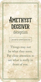 Card with text 'Amethyst Deceiver' and description on a textured beige background