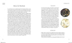 Book pages with text and images of celestial bodies