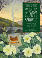 Book cover of 'The Druid Plant Oracle' with illustrations of flowers and a landscape.