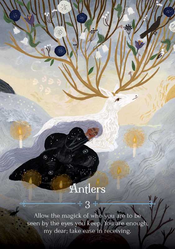Illustration of a deer with antlers surrounded by nature elements and text.