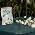 A tarot card titled 'THE FOOL' is displayed on a dark teal surface, surrounded by white dried flowers and green foliage in the background.