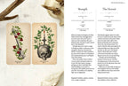 Two tarot cards with a skull and candle design on a textured surface with natural elements.