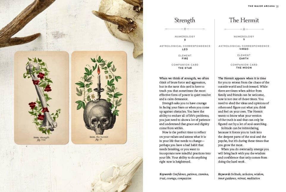 Two tarot cards with a skull and candle design on a textured surface with natural elements.