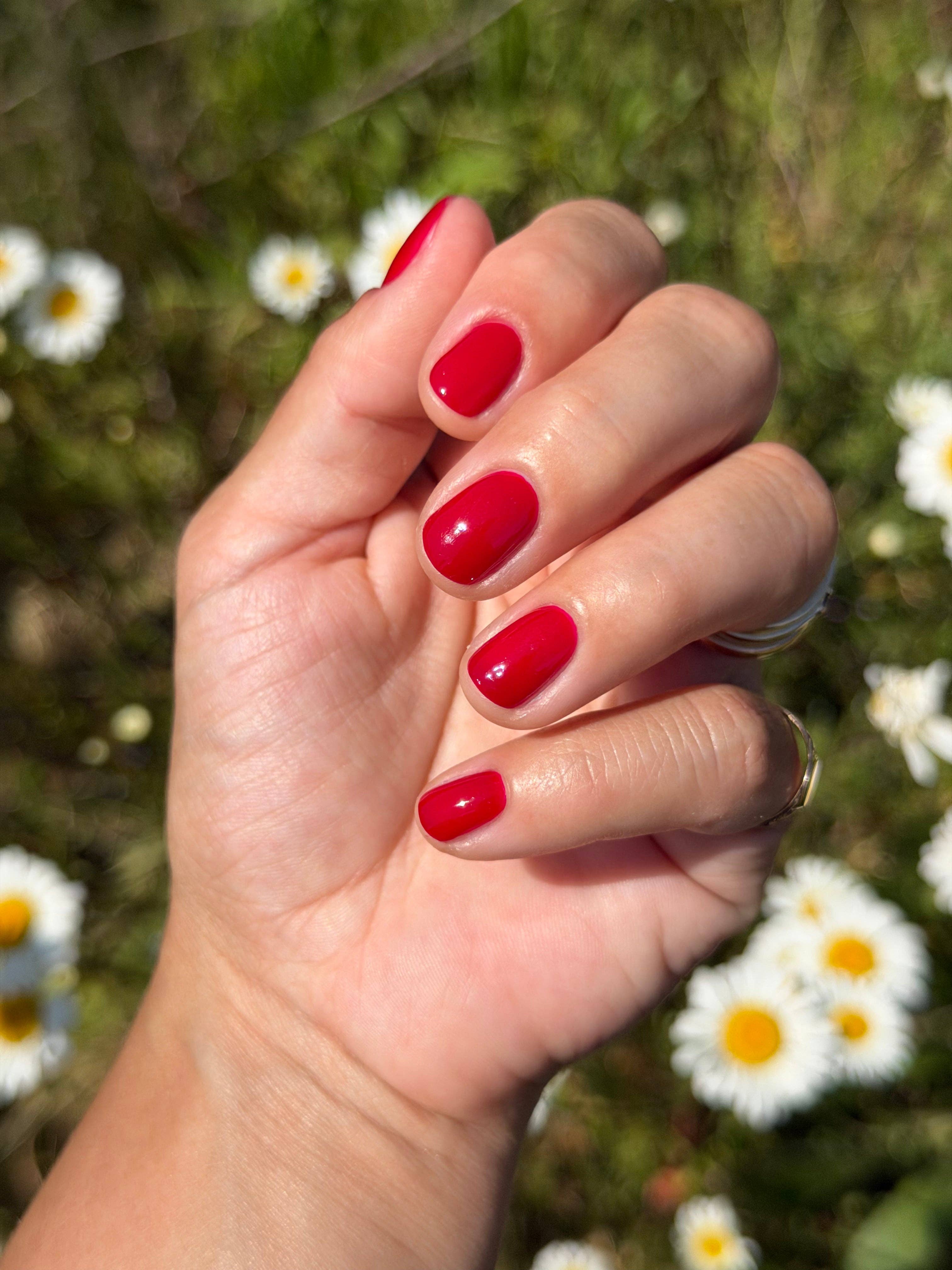 Hand with red nail polish holding a small object against a background of daisies.