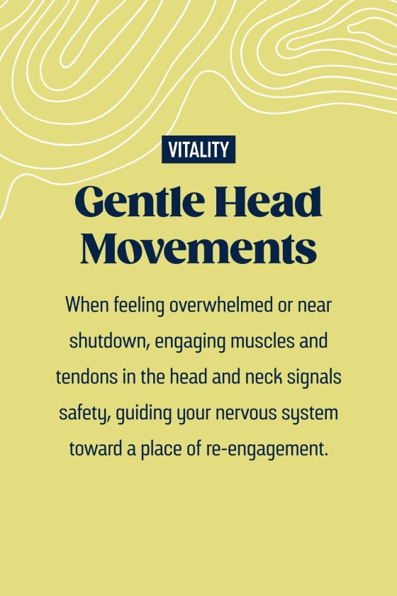 Text about gentle head movements for nervous system re-engagement on a yellow background with 'Vitality' branding.