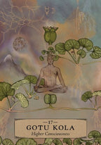 Illustration of a person meditating with Gotu Kola plants, labeled '17 Gotu Kola Higher Consciousness'.