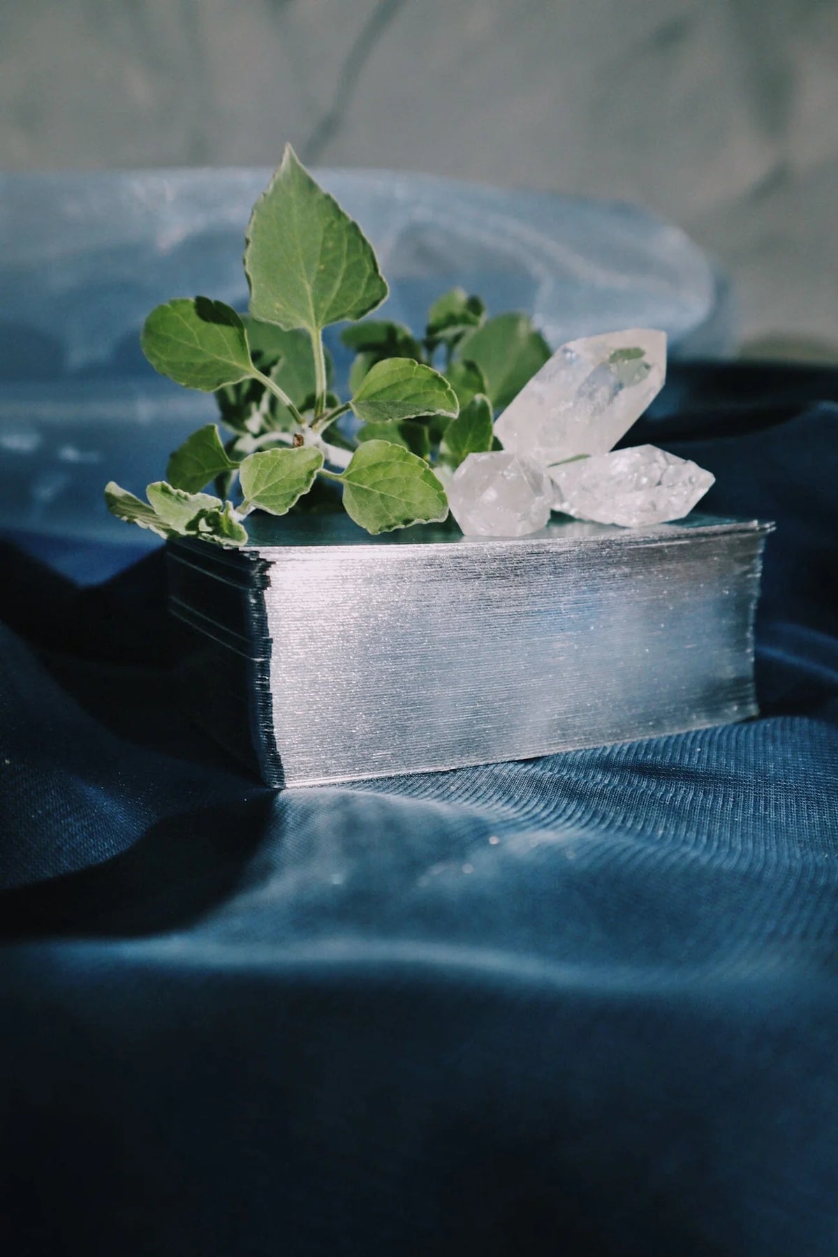 Small crystal and green leaf arrangement on a metallic surface with a blurred background