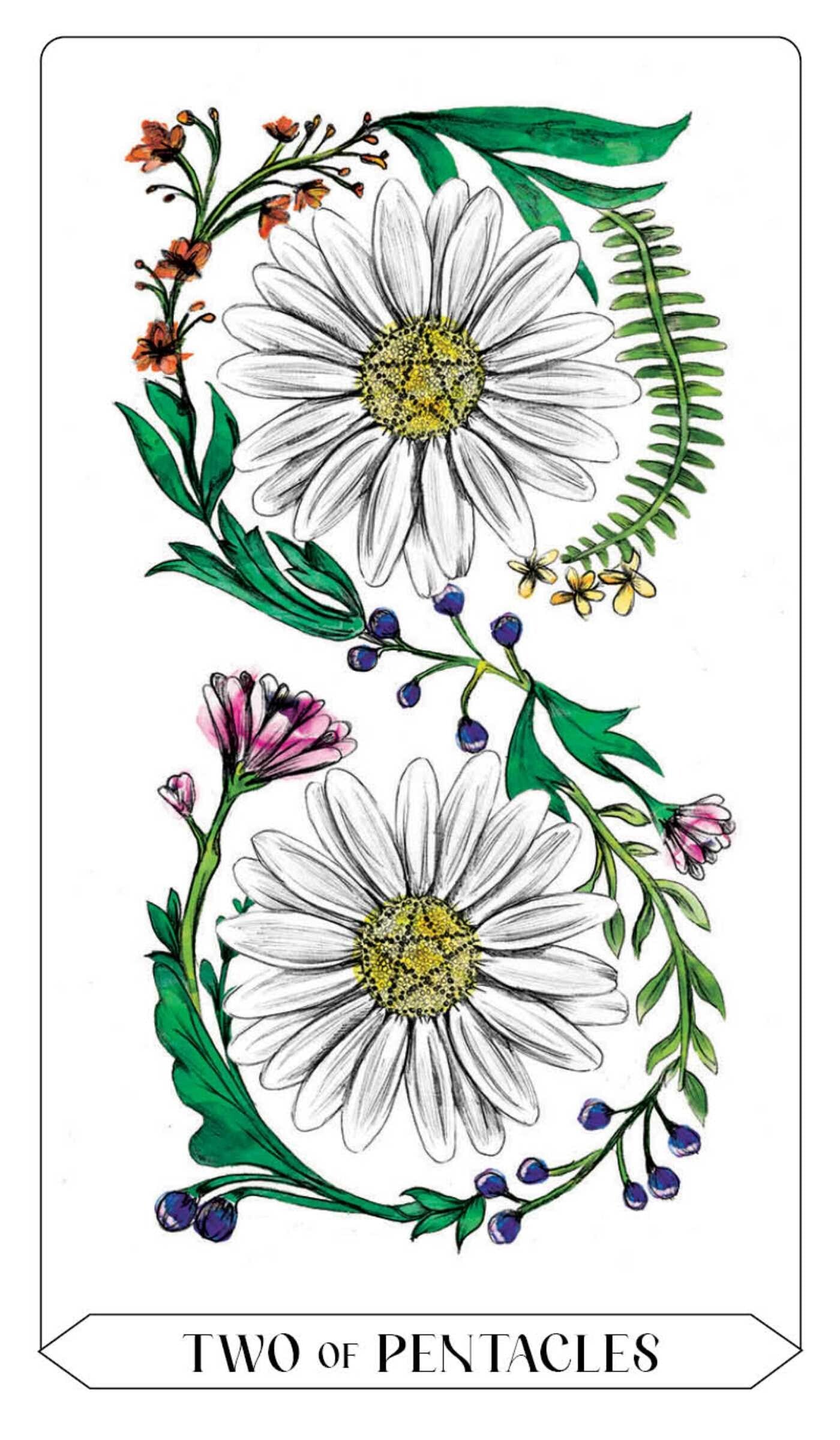 Two daisies surrounded by leaves and flowers on a white background with 'Two of Pentacles' text.