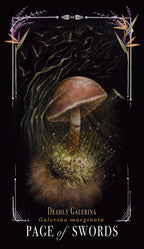 Illustration of a mushroom with decorative elements on a dark background