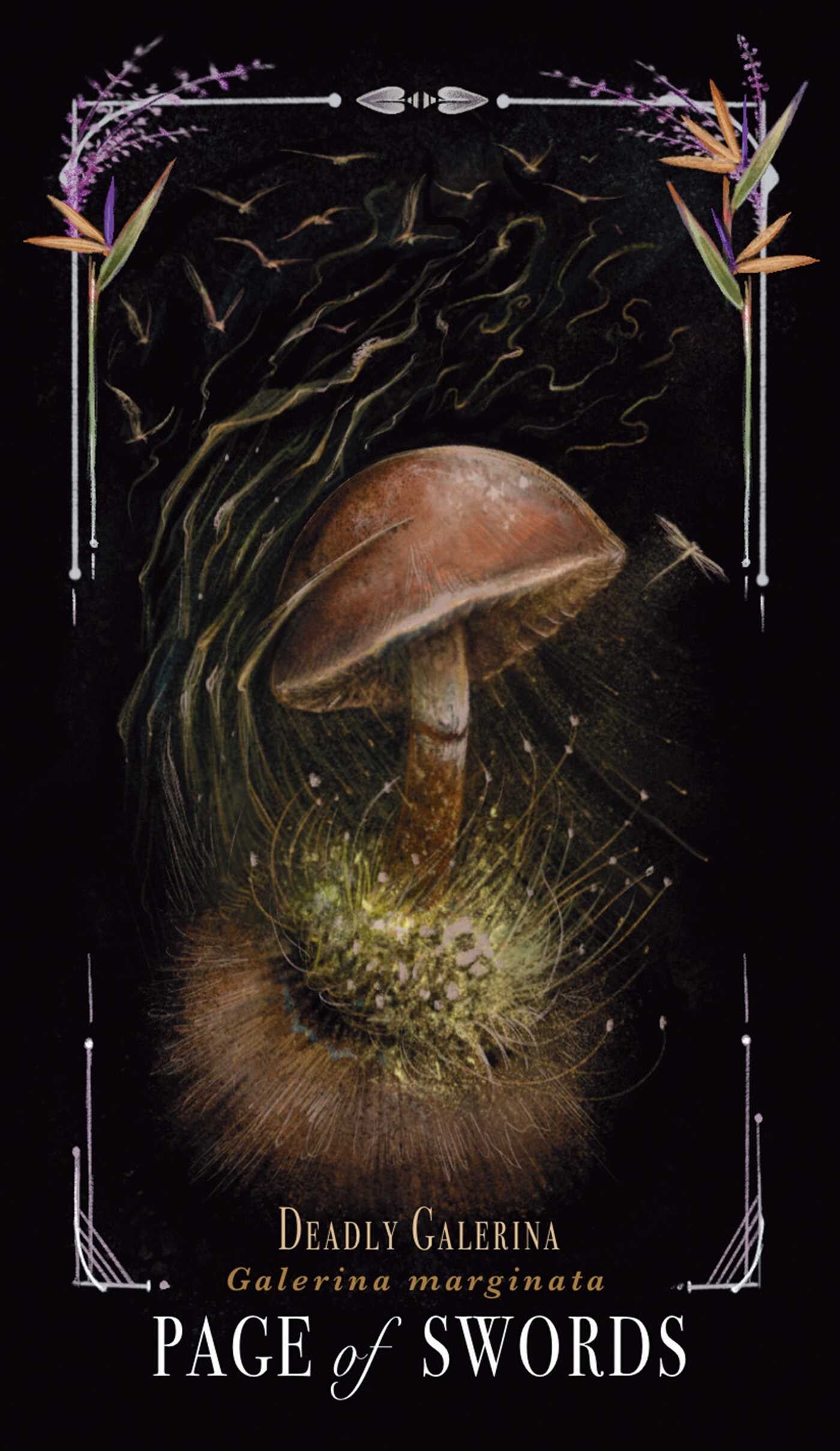 Illustration of a mushroom with decorative elements on a dark background