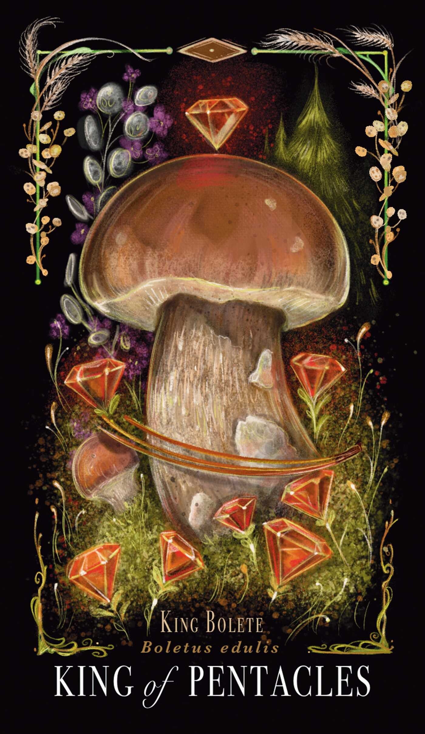 Illustration of a mushroom with diamonds and herbs on a dark background