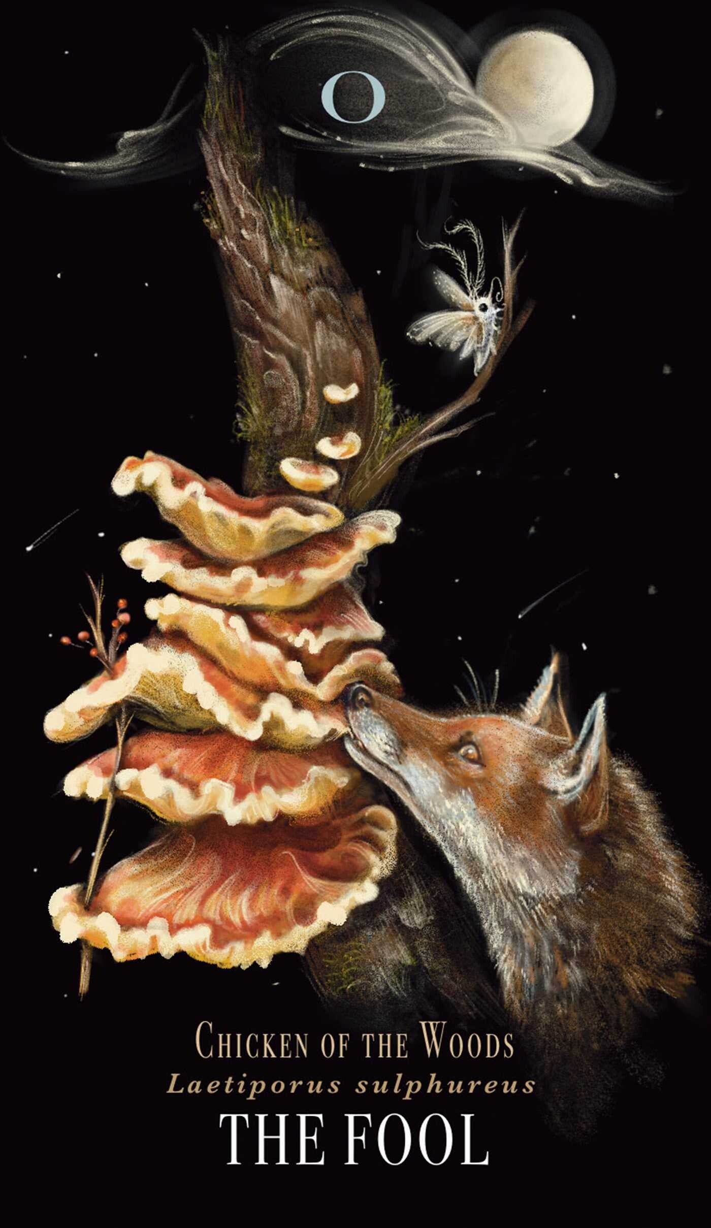 Illustration of a fox with mushrooms against a dark background, featuring text about 'Chicken of the Woods' and 'The Fool'.