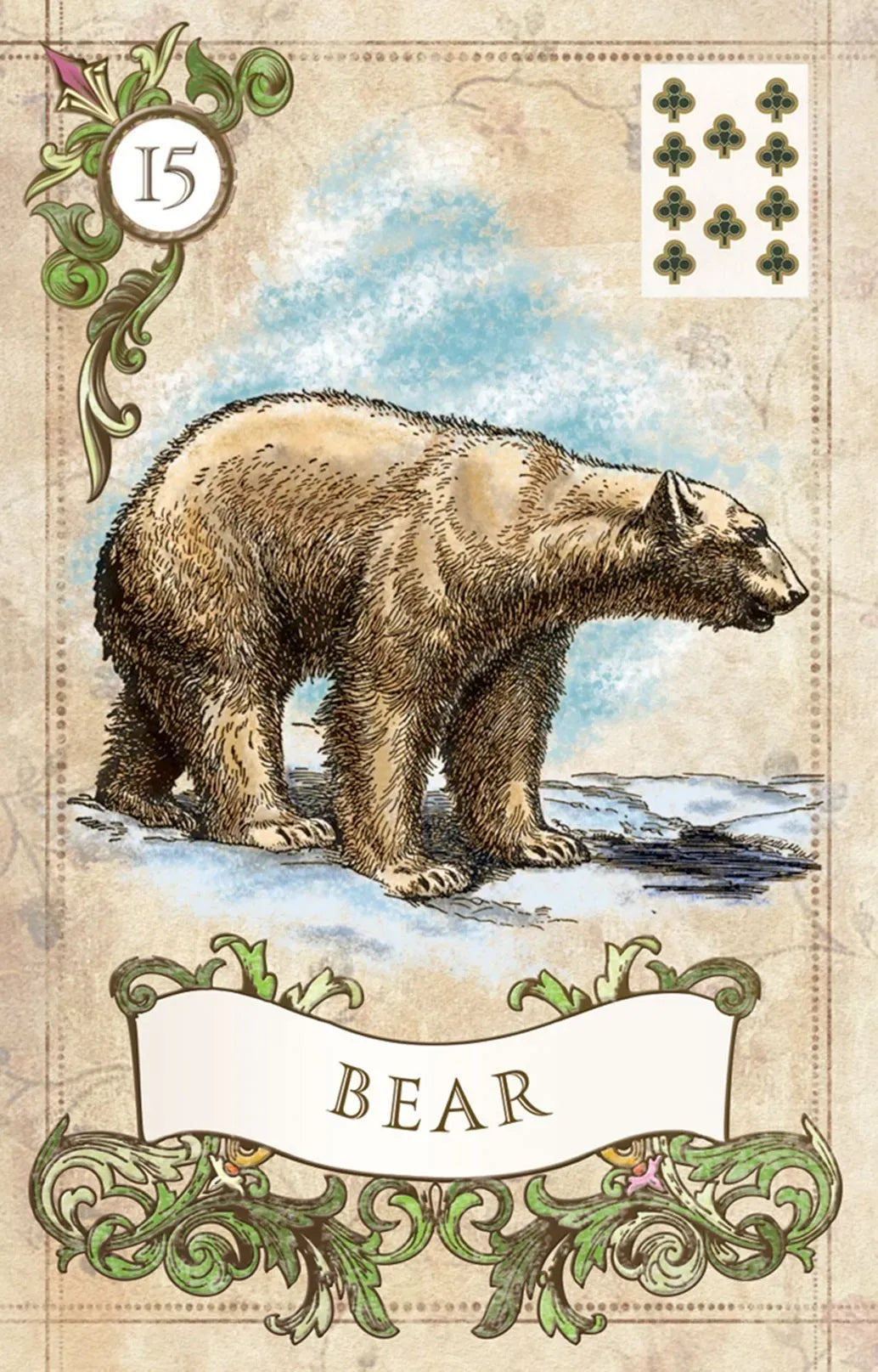 Vintage-style illustration of a bear on a card with decorative elements and text.