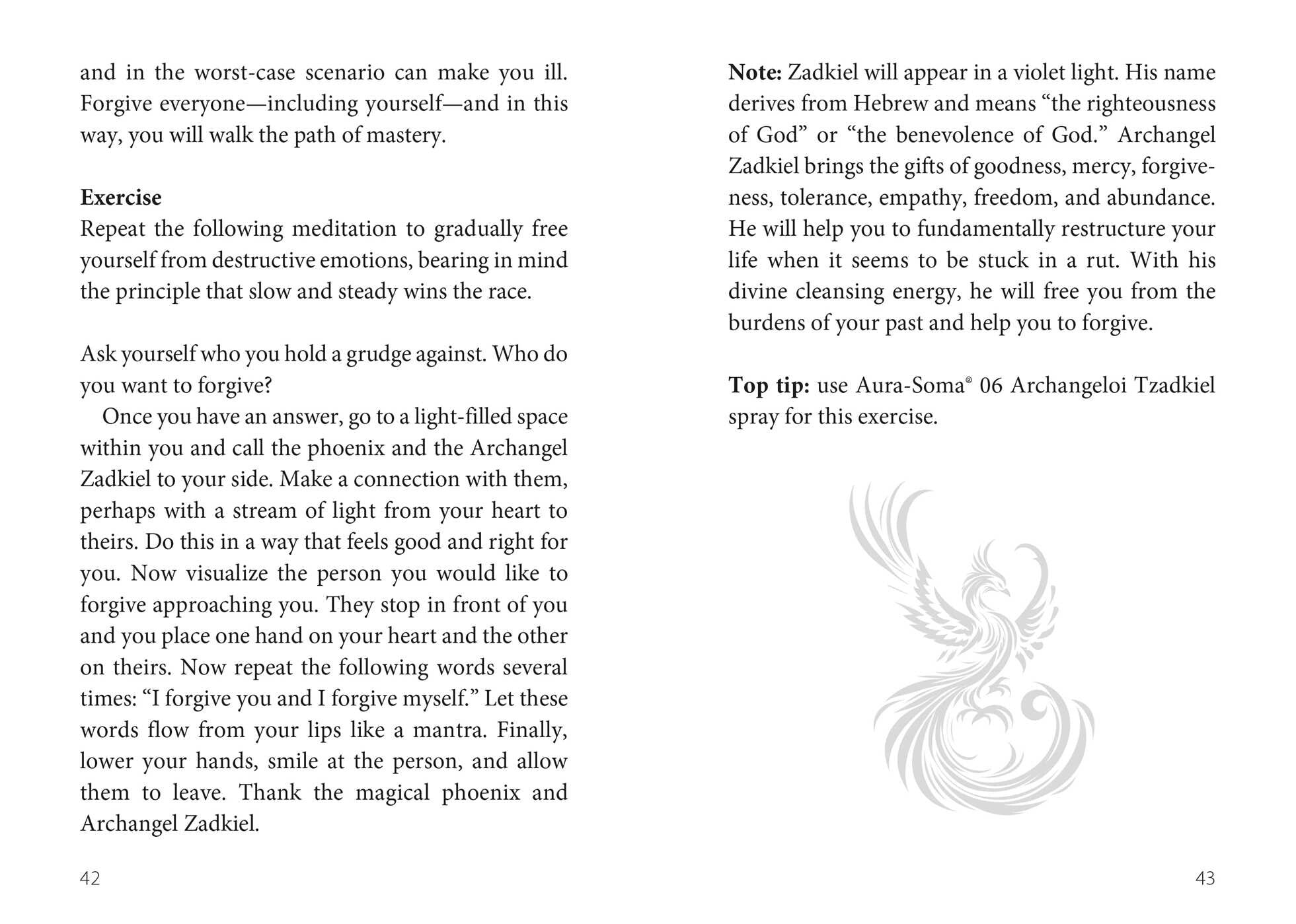 Oracle of the Phoenix By Christine Arana Fader
