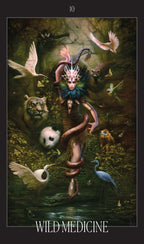 Artistic depiction of a central figure surrounded by animals with 'Wild Medicine' text at the bottom.