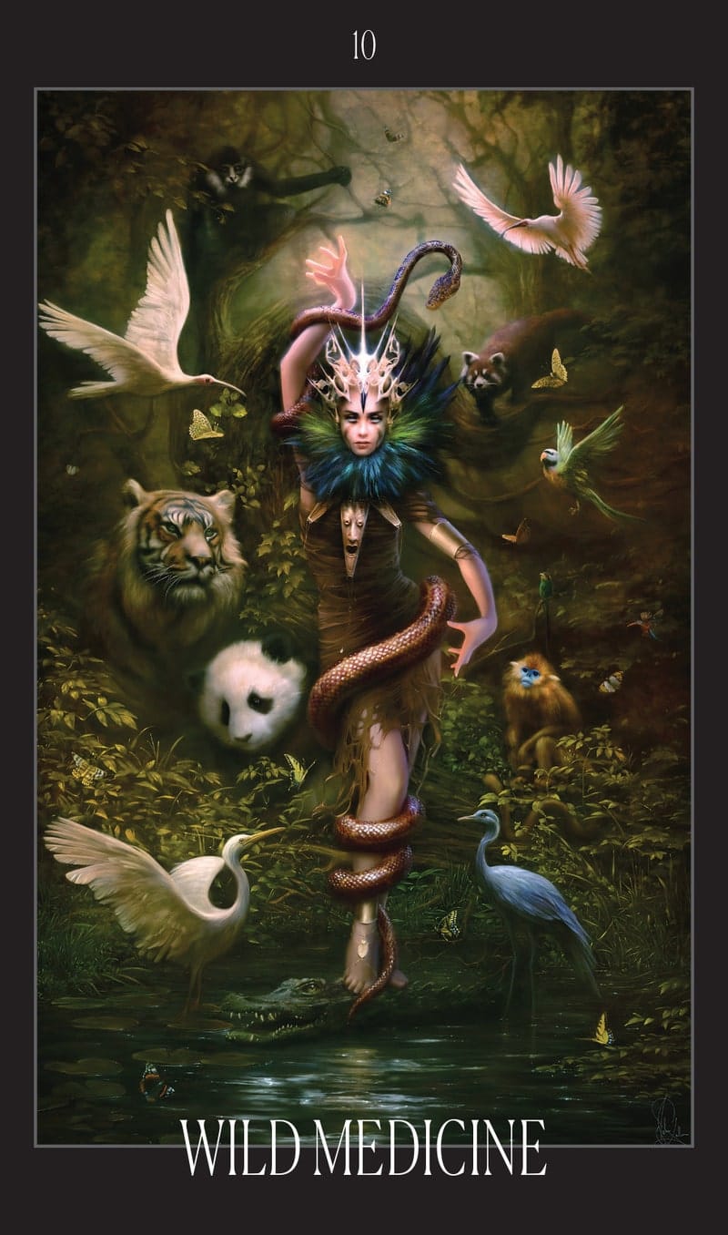 Artistic depiction of a central figure surrounded by animals with 'Wild Medicine' text at the bottom.