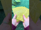 Ogham Unboxing Video
