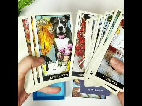 Wise Dog Tarot