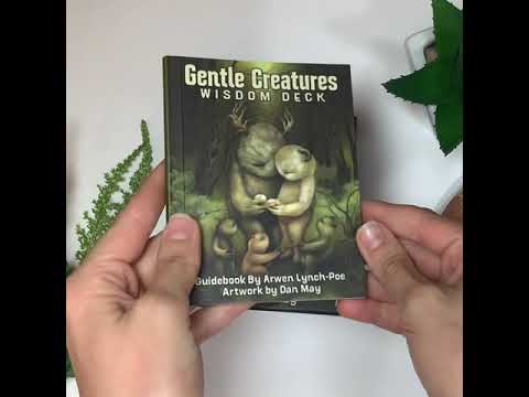 Gentle Creatures Unboxing Video