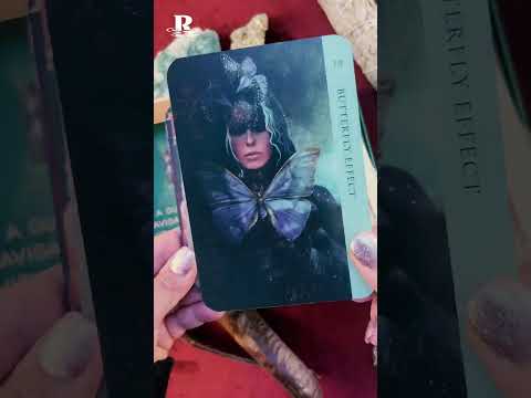 Human Spirit Oracle Unboxing Video