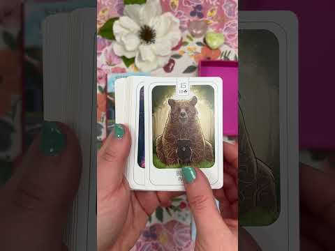 Simplicity Lenormand