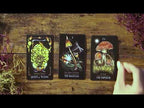 Midnight Magic deck opening demo