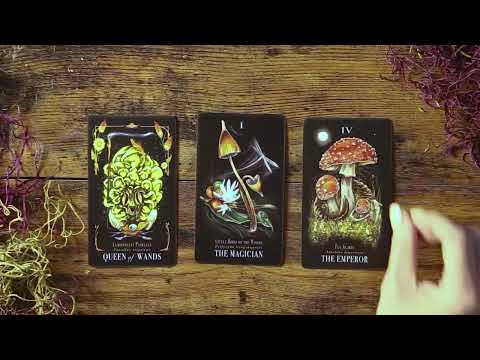 Midnight Magic deck opening demo