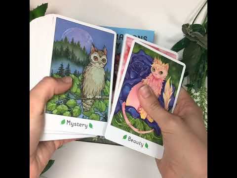 Affirmations of the Fairy Cats Deck and Book Set