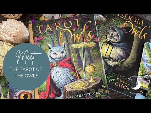 Flip Through of the Cards of the Tarot of the Owls 