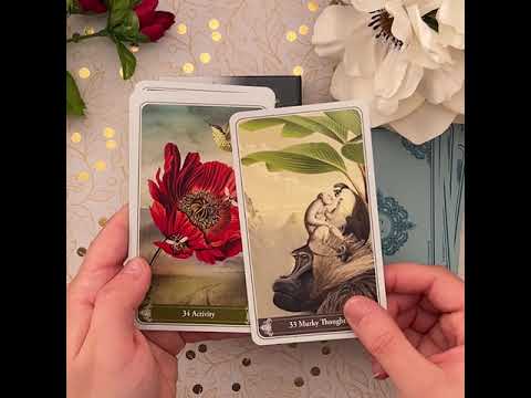 Christephania Kipper Unboxing + Flip Through video