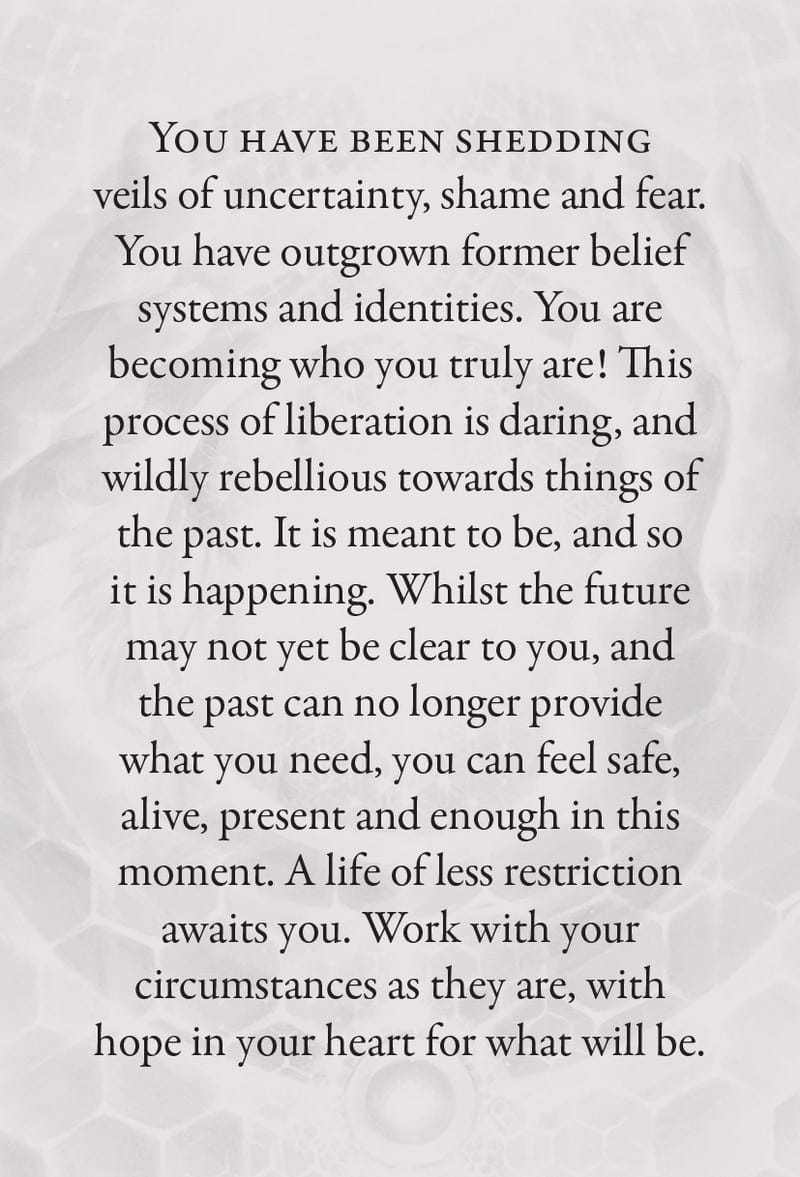 Text on a light gray background about shedding veils of uncertainty, shame, and fear.