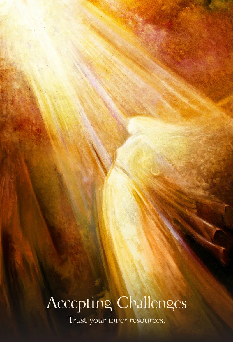 Artistic depiction of a hand holding a light bulb with rays of light, accompanied by the text 'Accepting Challenges: Trust your inner resources.'.